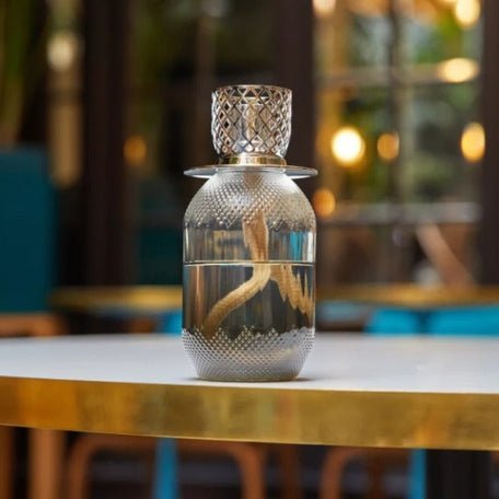 Lampe Berger Geschenkset - Evanescence Grau mit Duft Kraftvolles Leder - Hirsch Living & Lifestyle