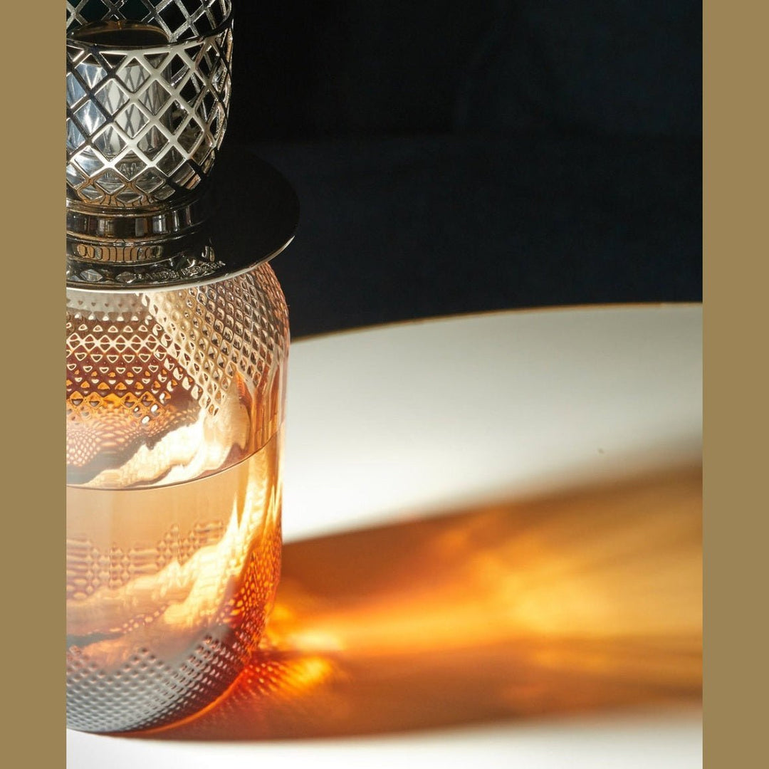 Lampe Berger Geschenkset - Evanescence Rehbraun mit Duft Kraftvolles Leder - Hirsch Living & Lifestyle
