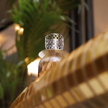 Lampe Berger Geschenkset - Evanescence Rehbraun mit Duft Kraftvolles Leder - Hirsch Living & Lifestyle